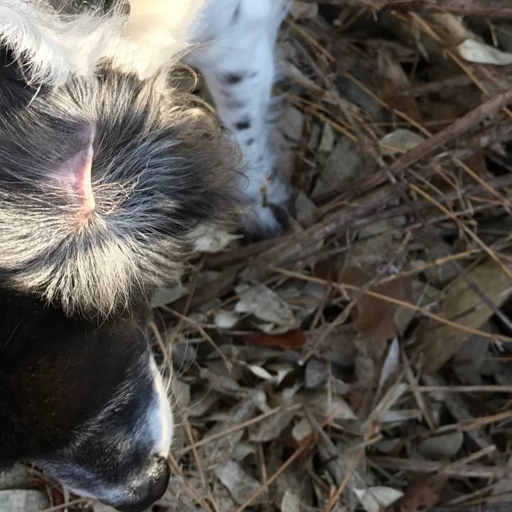 Ba800369 1780 4e97 8390 e49a899d3032