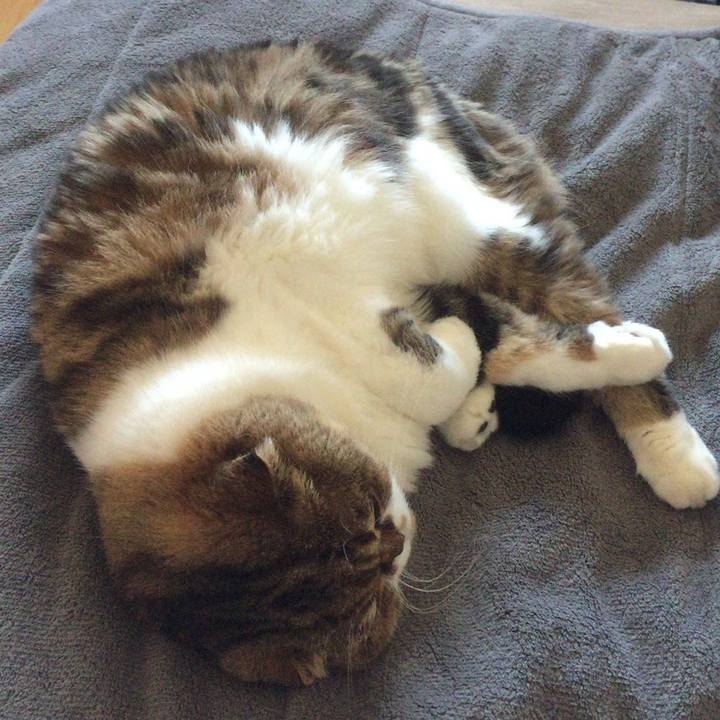 Ba80d5b4 76e5 442c 97ac e79f45034917