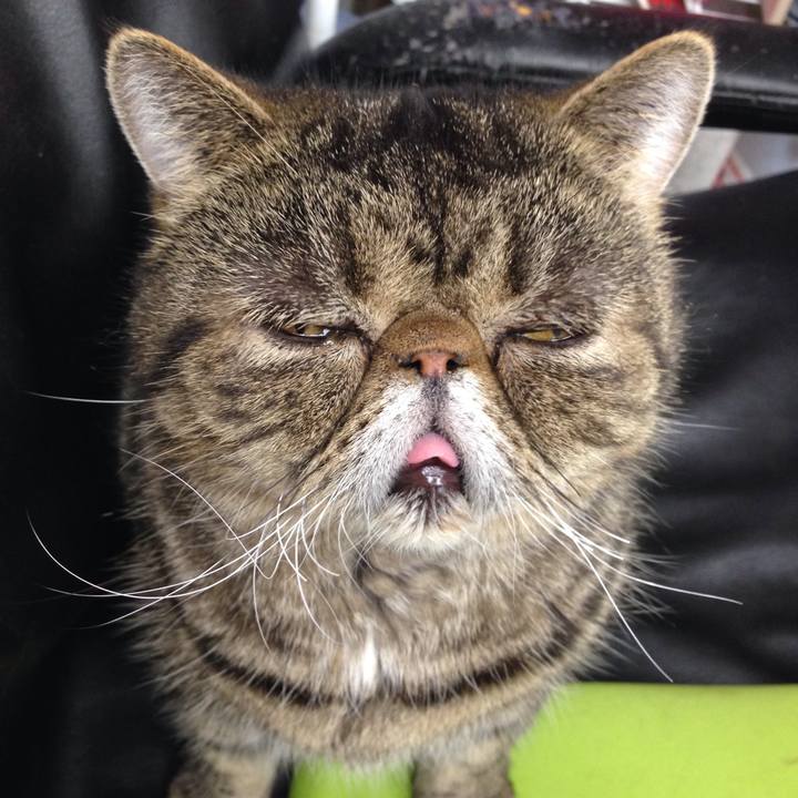 Ba80eba9 69af 477f 82c4 21090430f2ff