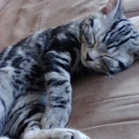 Ba810cca 4f14 4662 869e a152f0ac9f79