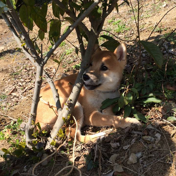 Ba811d22 90b7 4cf1 a78b fd19fc28090a