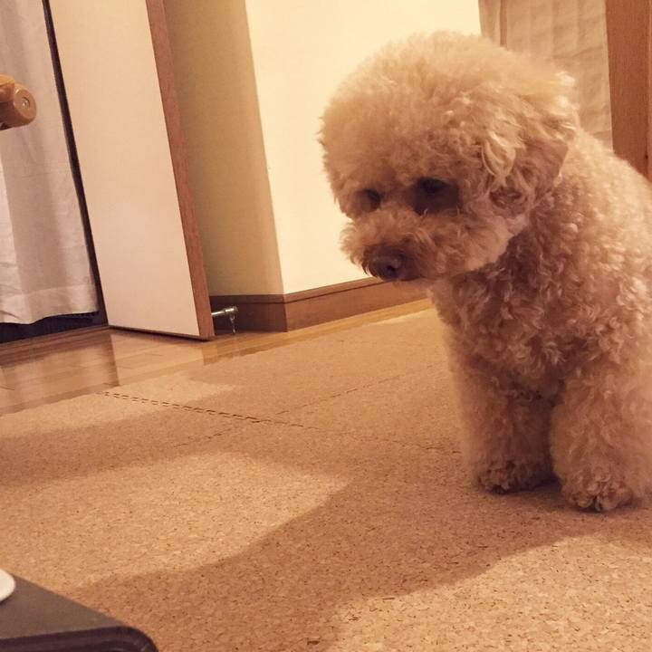 Ba811d53 aae6 410f 9436 28226fa1bdd8