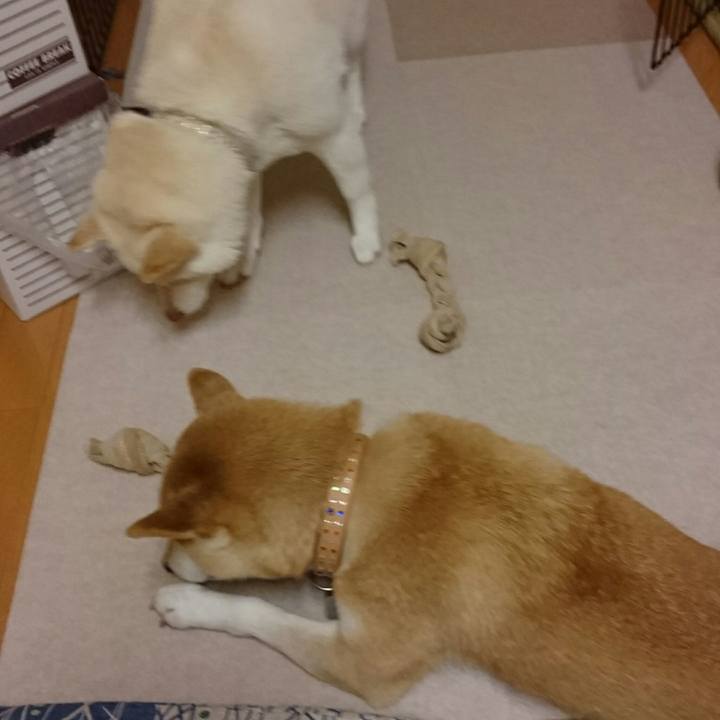 Ba8195d5 8079 4739 b4ca 10c76c2ae58f