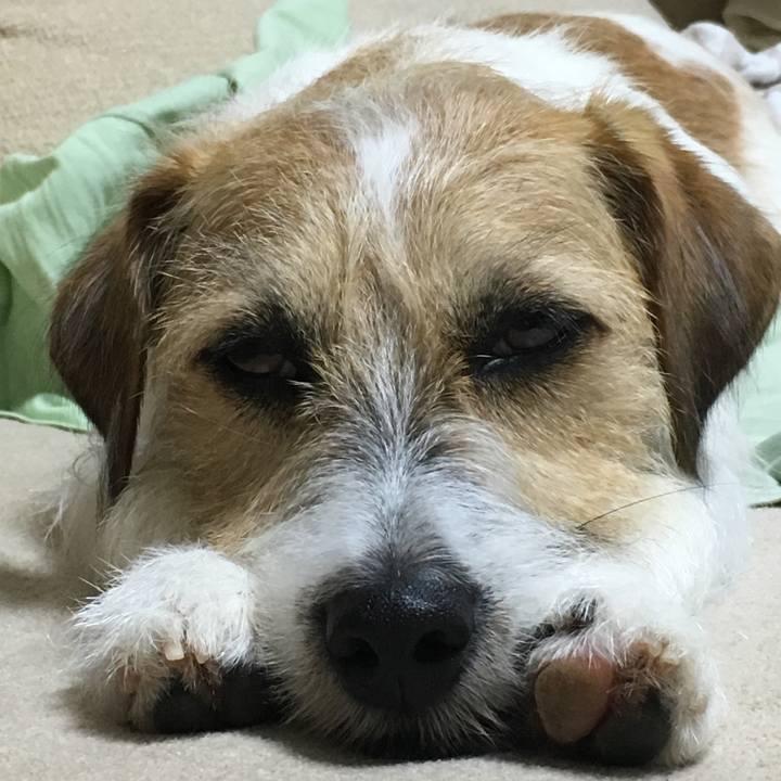 Ba81d6bc 291a 49d2 9cad c8d297b17a43