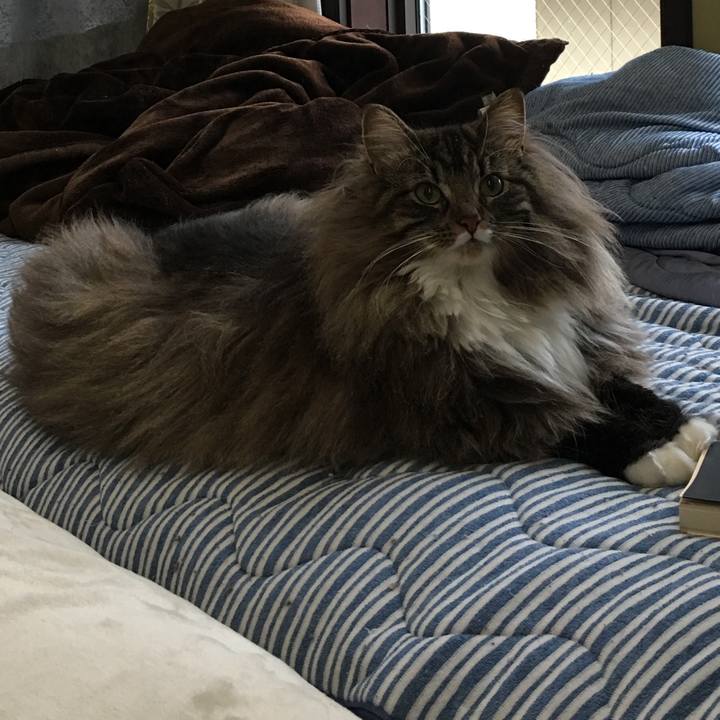 Ba81e76a 436f 4a6a a7d2 4932838485ba