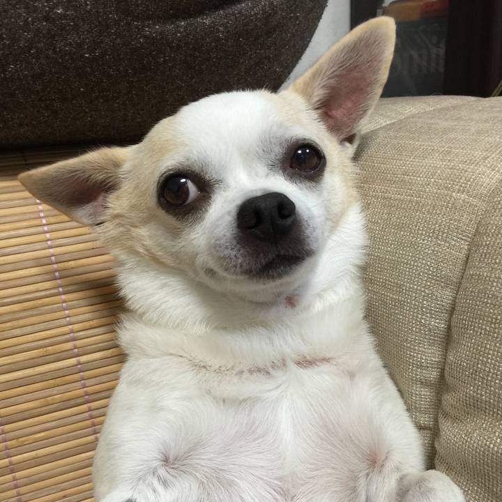 Ba81f1f9 979c 4b9b 9253 aa3573ebb2c1