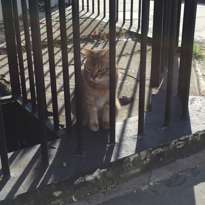 Ba81f9fd c05f 4003 8d9c 1f3b45fc5a44