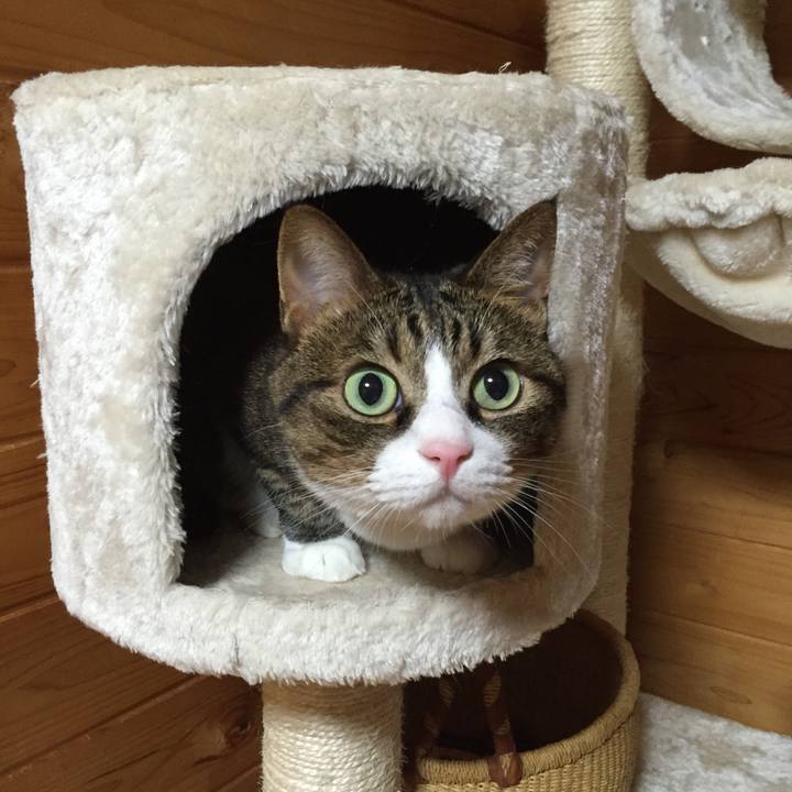 Ba82694b 9289 402e 8850 aa17bfa2a9bf