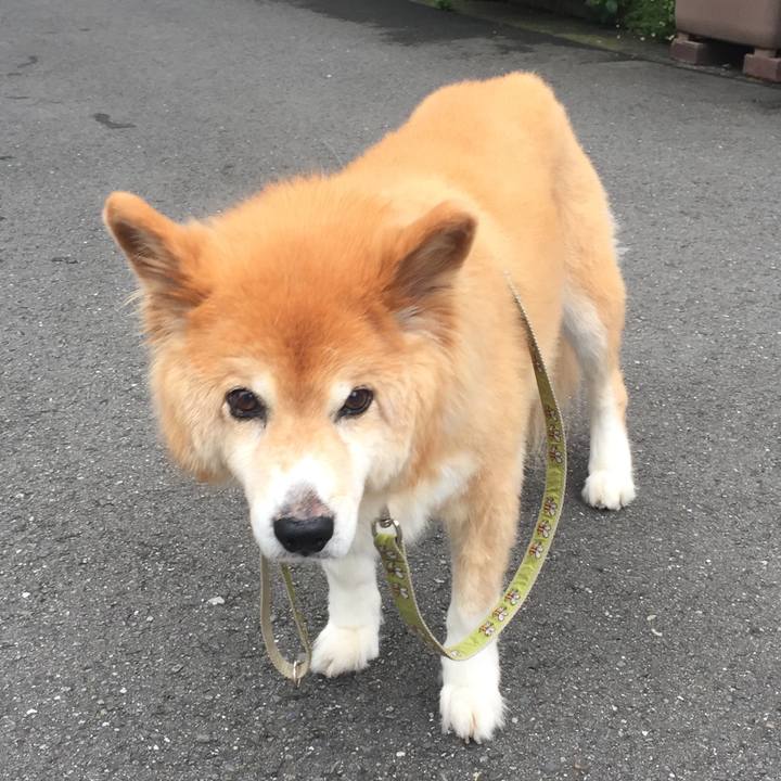 Ba827e52 445c 4104 bf68 81024674a56d