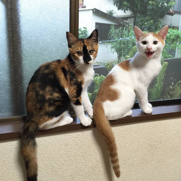 Ba8359bc 33bd 43bd 8941 7766c8087da4