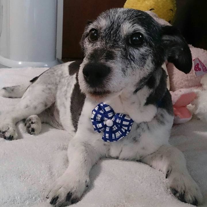 Ba8470e5 2c38 46fd 9169 5588be46e9f9