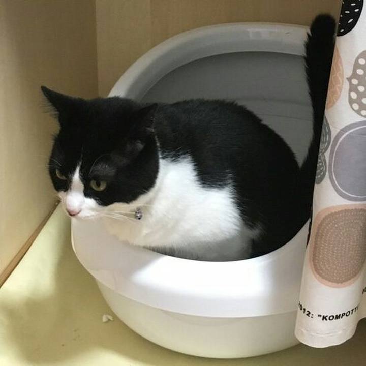 Ba853caa c7a7 4bb9 b65a 323119046cf9