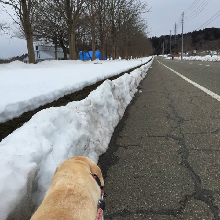 Ba855e82 7bc6 46ac 84b2 6d61cb837e05