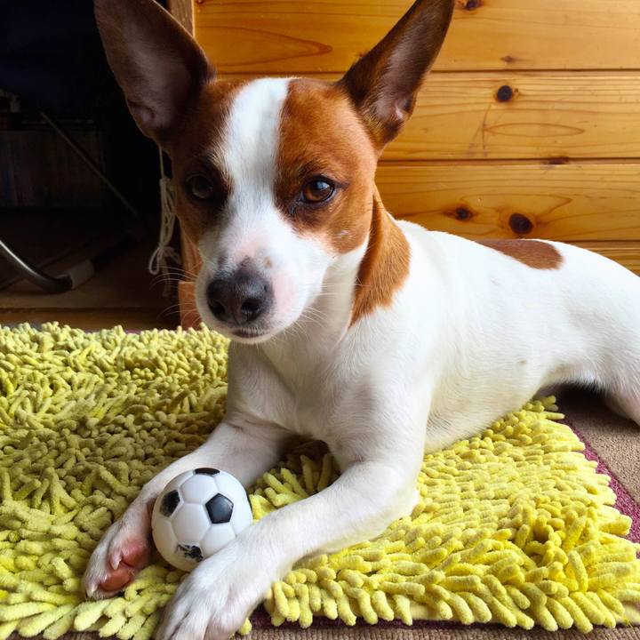 Ba859242 977e 41f8 a986 1df329831efe