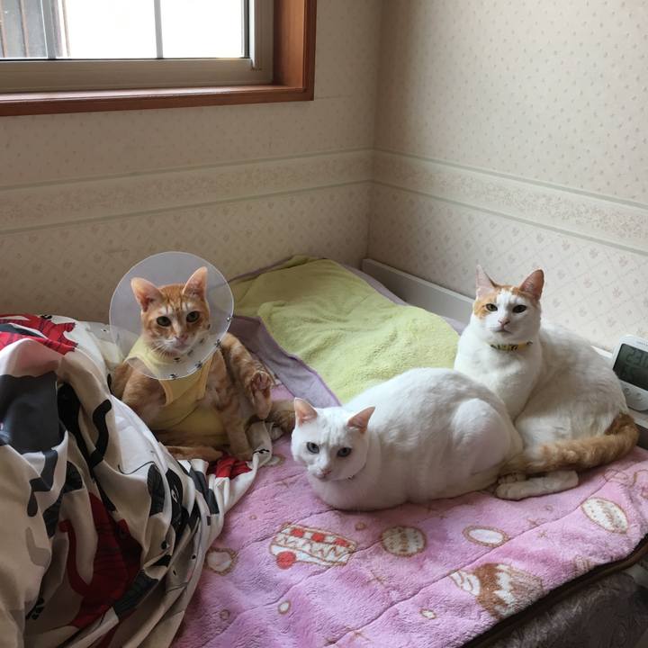 Ba859578 5407 40e0 8fbc a451c40740b6