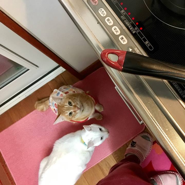 Ba8659fe 2cb6 4014 95d5 6d04b383cda6