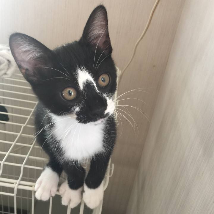 Ba871ada 3a28 4467 9e54 73fefdbc093b