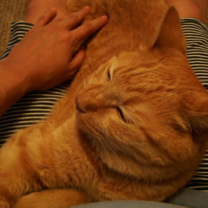 Ba8744fc 8e9f 4a49 a993 7049365392dc