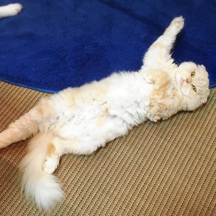 Ba87980e 09a6 4d8c a7f6 35c57fc49d23