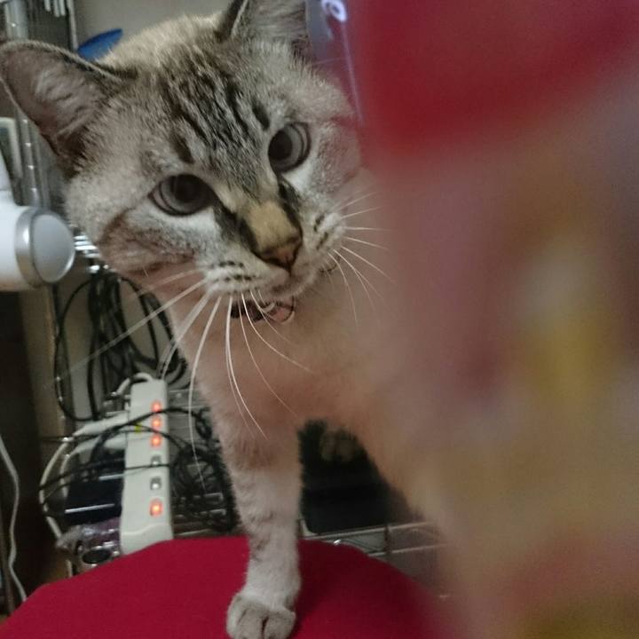 Ba87e44c 59ae 411f 82e0 f50bbbf36db2