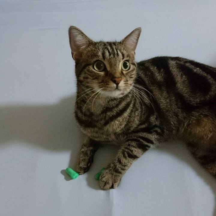 Ba8800a9 c896 4348 be25 215027464901