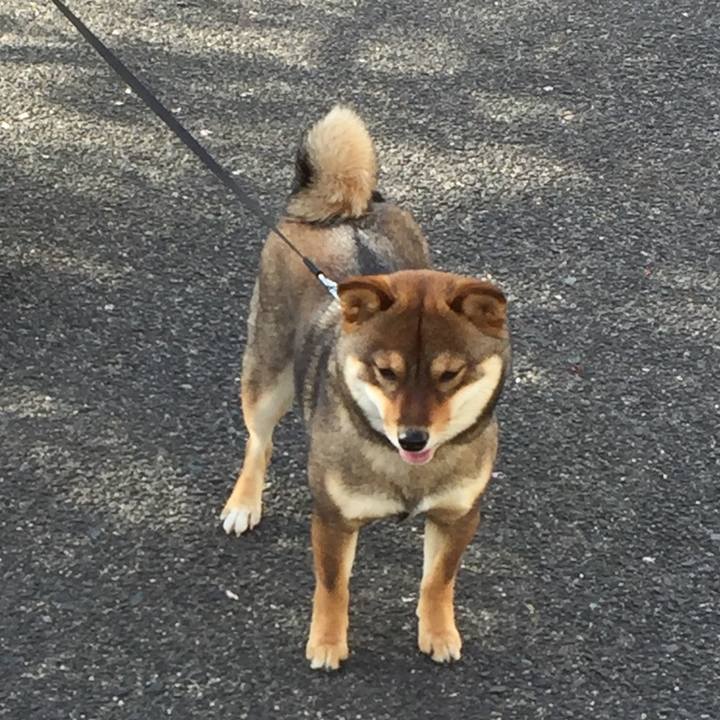 Ba8891dd c2f3 461b bb56 3adcc9fdcdb4