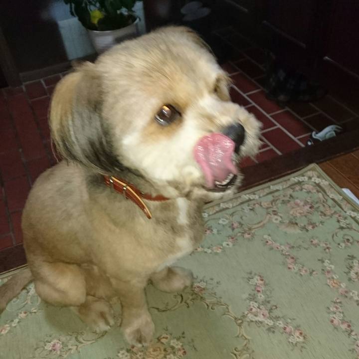 Ba895356 33e2 46a6 a0f8 6647c1b2012c