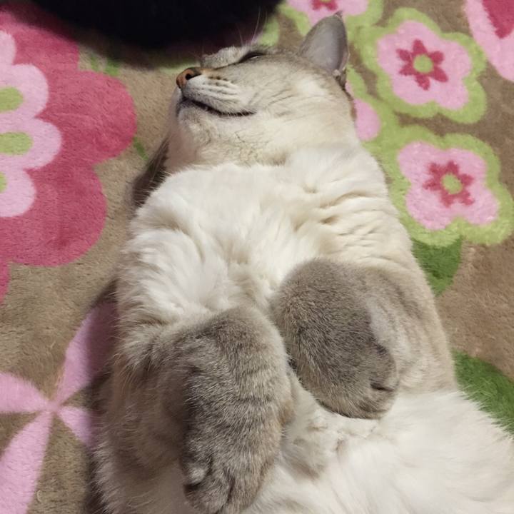 Ba8998c0 4c31 455f 8120 1a861c0f1897