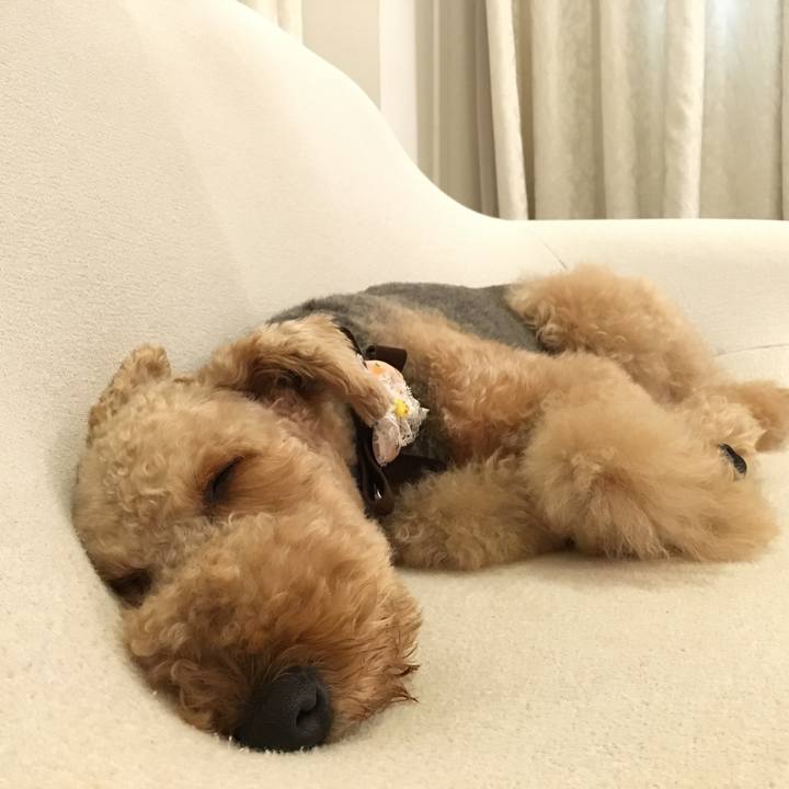 Ba8a1494 9904 43ae 85c5 39d9a8ae808d