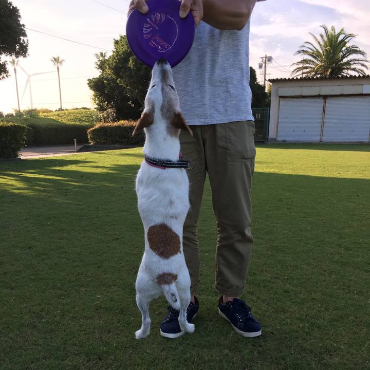 Ba8a1b7e 5969 4703 bd85 e4a68bd8ba03