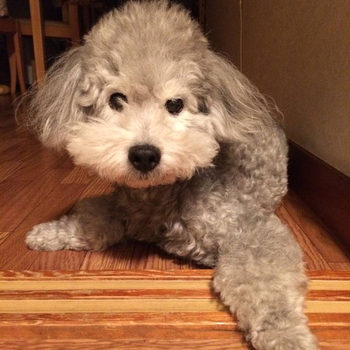 Ba8a5e74 4ceb 4275 aee8 7eb124a9a6f1