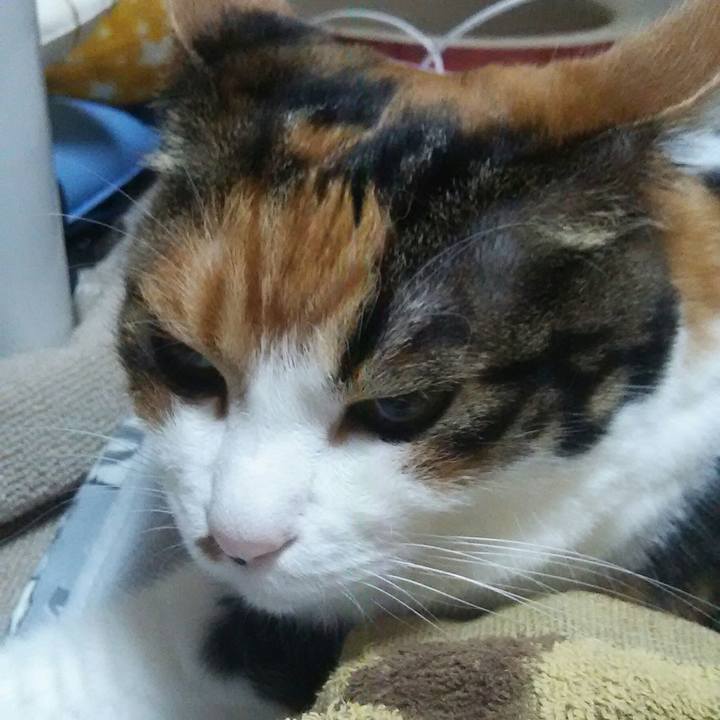 Ba8ac0bf 92b0 4d8e 999b dd57f85f76e1