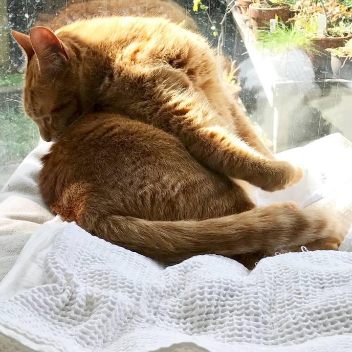 Ba8b23cd 00de 4931 911c ea33f2d4665b