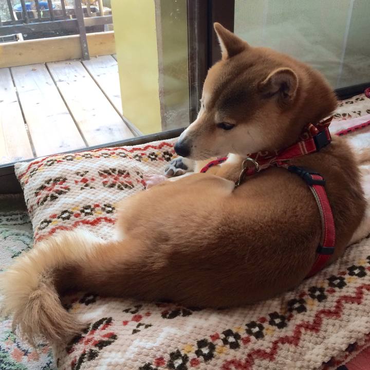 Ba8b70de cc6c 4a2d b483 6482f72214b1