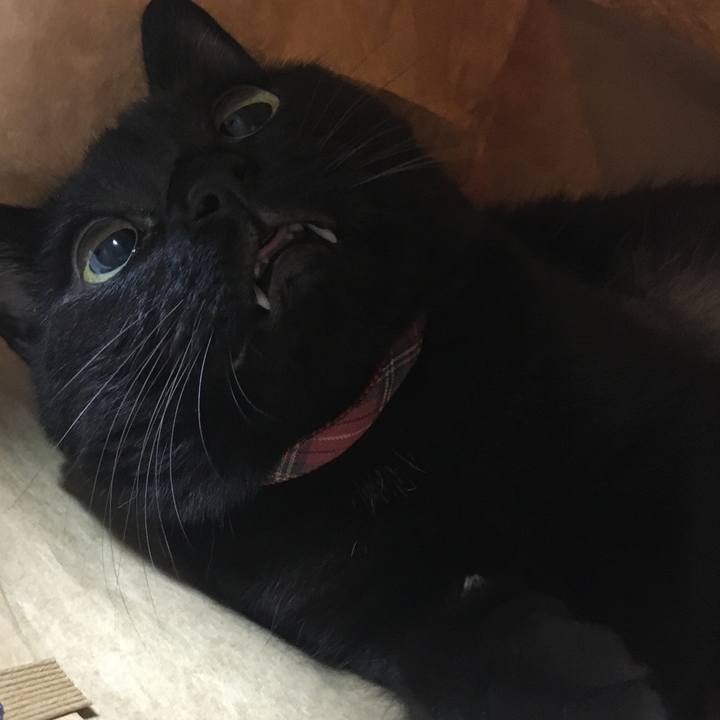 Ba8c6d1d 8a16 4678 b930 deaada3e8507