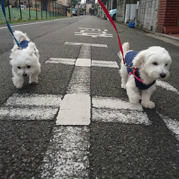 Ba8cc2c7 f3c7 4dbb 898b d6c5e1ca478b