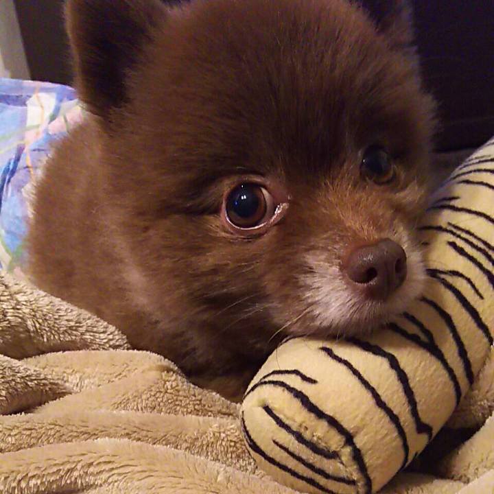 Ba8d2c49 15bc 4532 8b05 7d5e4205a905