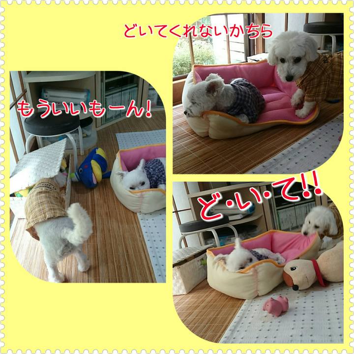 Ba8d3676 1ae4 433e af24 acff2d501b3d