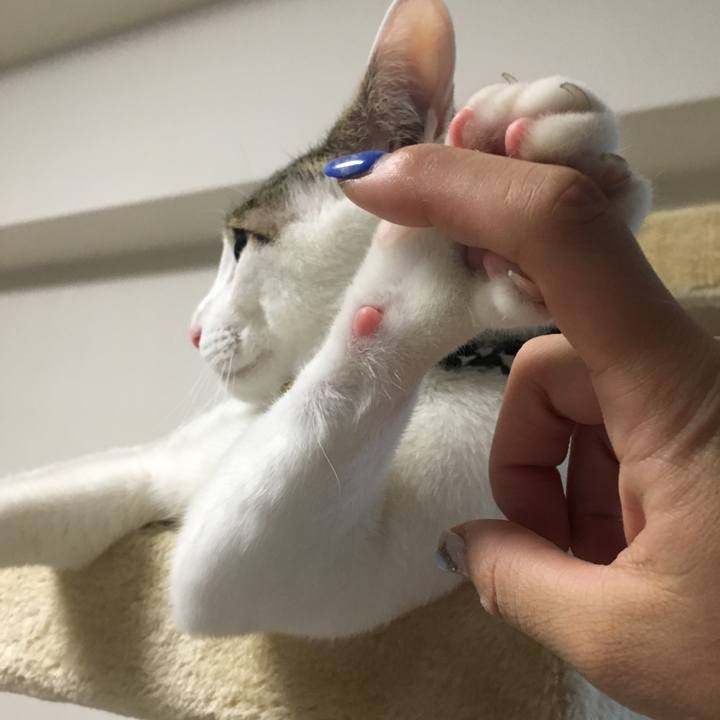 Ba8d9dfa 317f 4e30 9a17 f589a19f040a