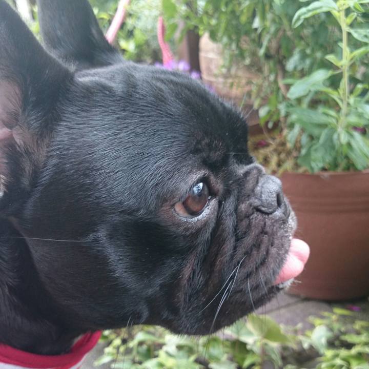 Ba8ddabf 14c2 4312 8d40 fd3b90680787