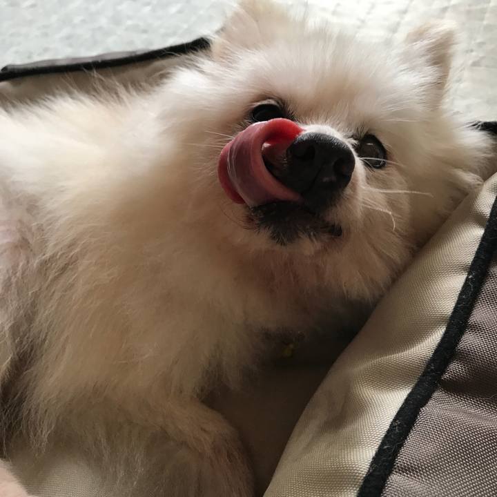 Ba8df072 7e88 4d7a a6e0 eb8e4a0e08a5