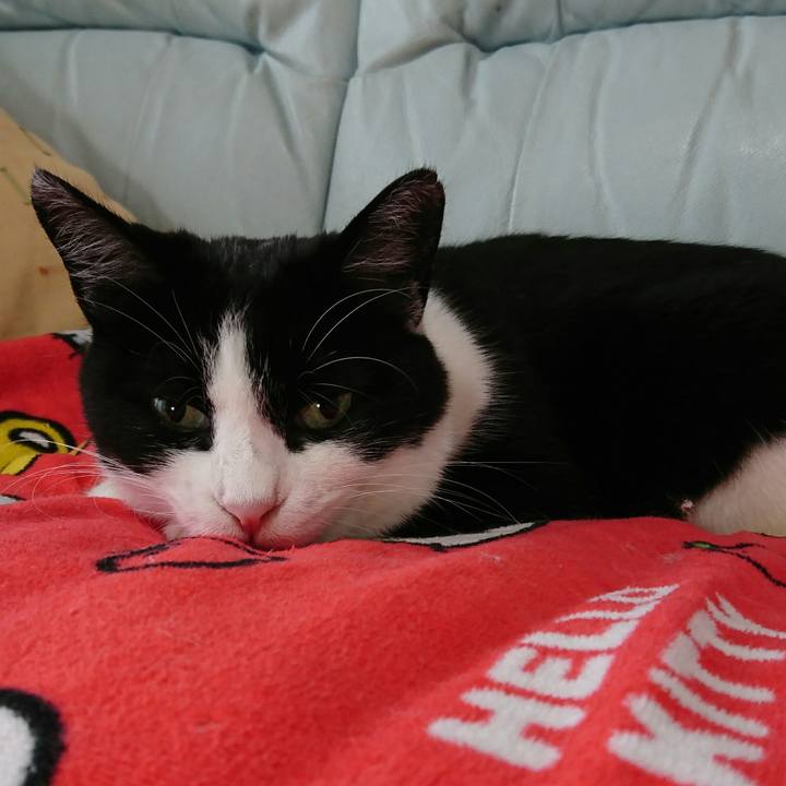 Ba8e0932 87d9 4653 976e 17f5fa3d8810