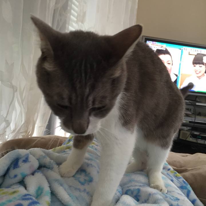 Ba8e253f 5c78 483c 93b6 ae9026c9b096