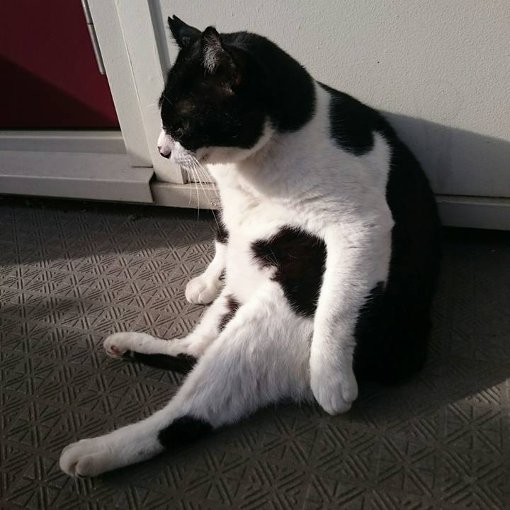 Ba8e77d2 0999 4060 a140 76a8e59522a5