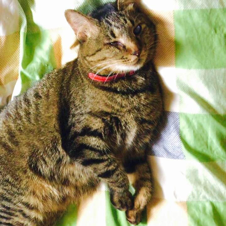 Ba8e87fc a37b 4801 a178 feaa2684a2dc