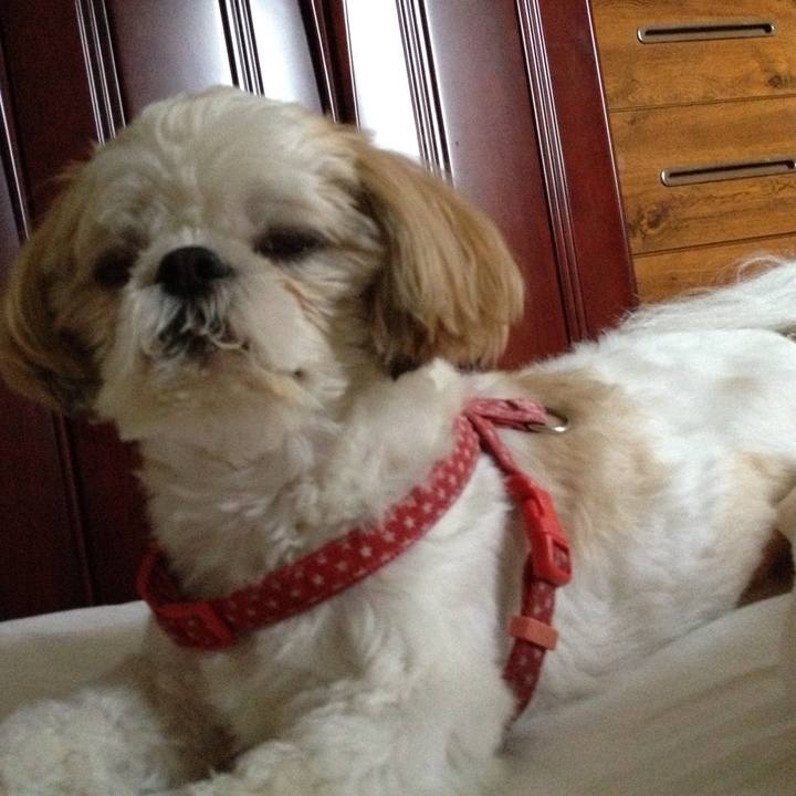 Ba8e97fe 4649 4ffd 9741 d72102c8fadc