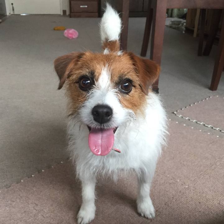 Ba8f3511 d9a3 4cb2 8412 cab079a09dcb