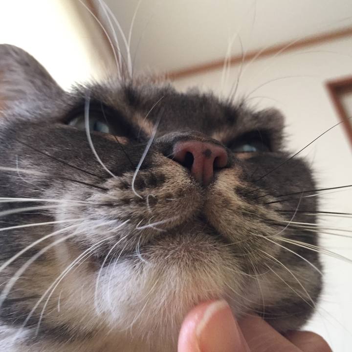 Ba9036d3 949a 40f2 9fa0 4e73ed2bcbc7