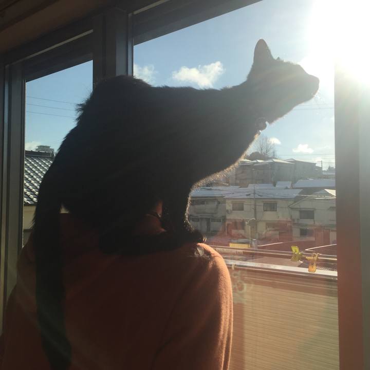 Ba906c44 dcba 4dba 8066 bd9fb28a3e31