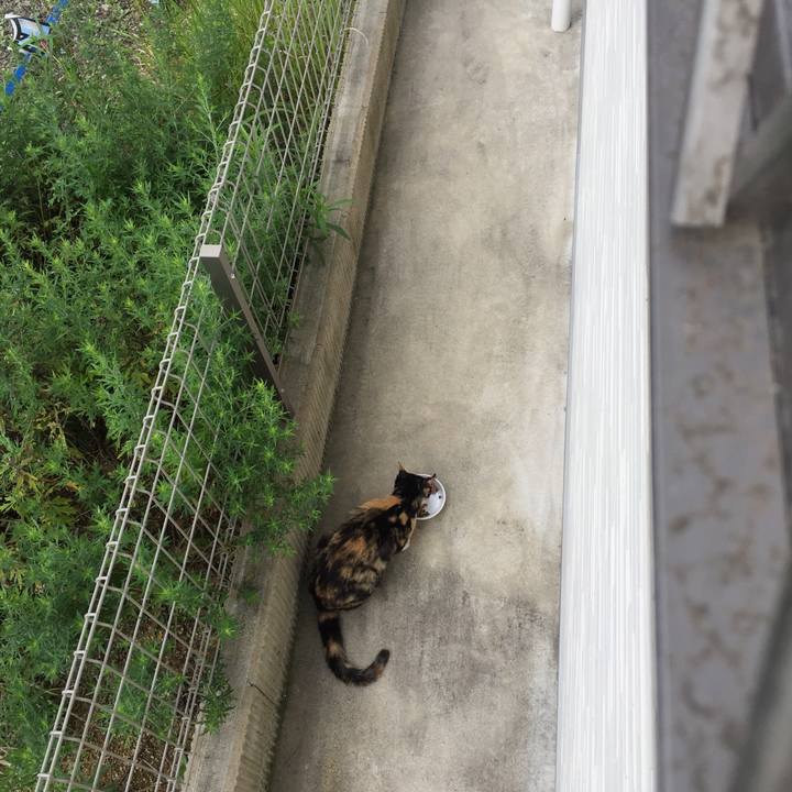 Ba90c55b dea7 451a 912f 08b18785f72b